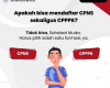 Mendaftar CPNS dan PPPK
